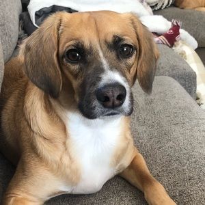 Meet your Posher, Kaitlyn